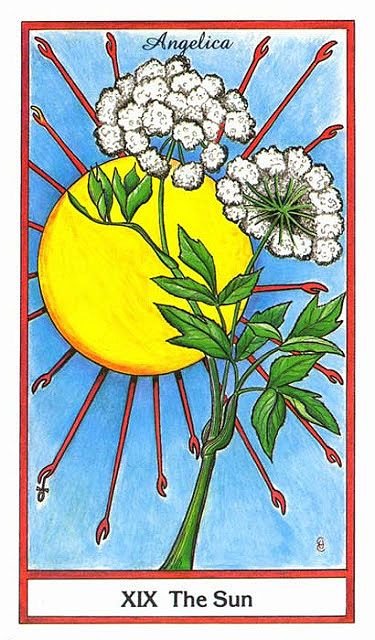 Daily Tarot Reading:  August 29, 2016