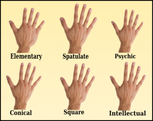 spatulatehand3