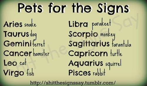 Pet Zodiac