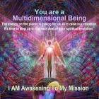 lightworker4