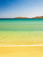 Would you or any onlooker let a stranger drive your vehicle 0110