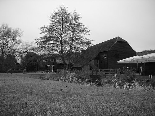 Ghost Farm