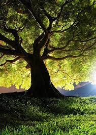 grounding6
