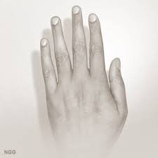 intellectualhand2