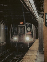 Devine Feminine Starseed